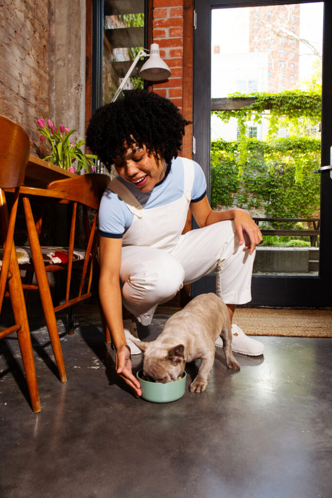 A woman with curly hair in white overalls kneeling down to feed her french bulldog a bowl of Ollie fresh dog food in a modern kitchen setting.