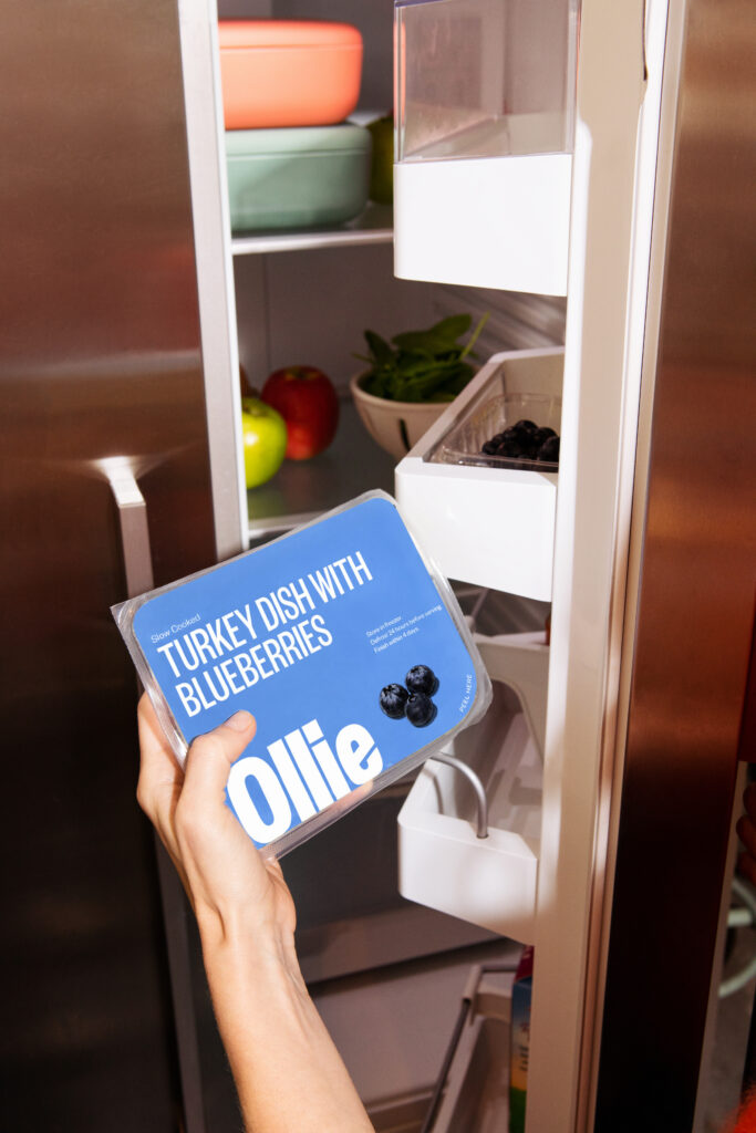 A hand holding a blue package of Ollie Turkey Dish with Blueberries fresh dog food in front of an open refrigerator.