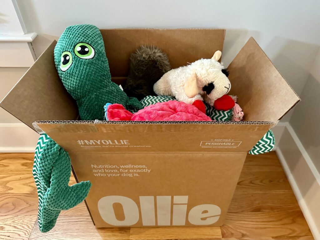 Ollie donation box