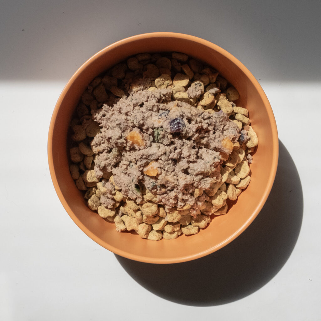 An overhead view of an orange bowl full of Ollie baked dish topped with a portion of Ollie Fresh Lamb dish.