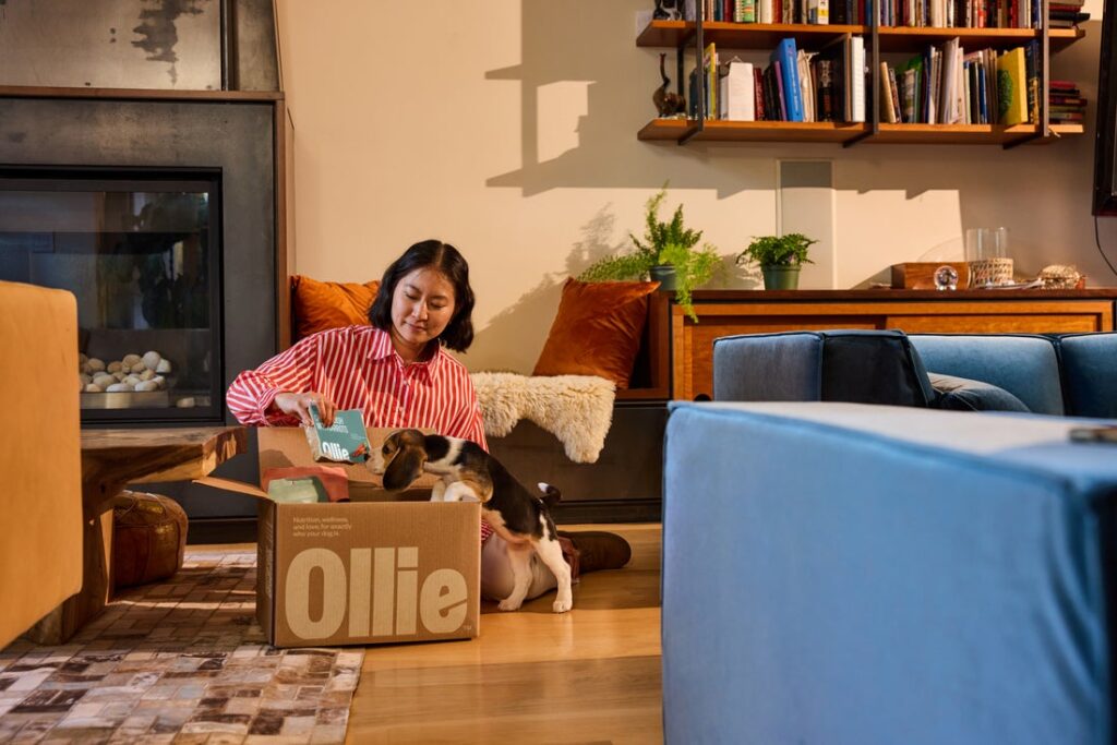 Fresh dog food transition