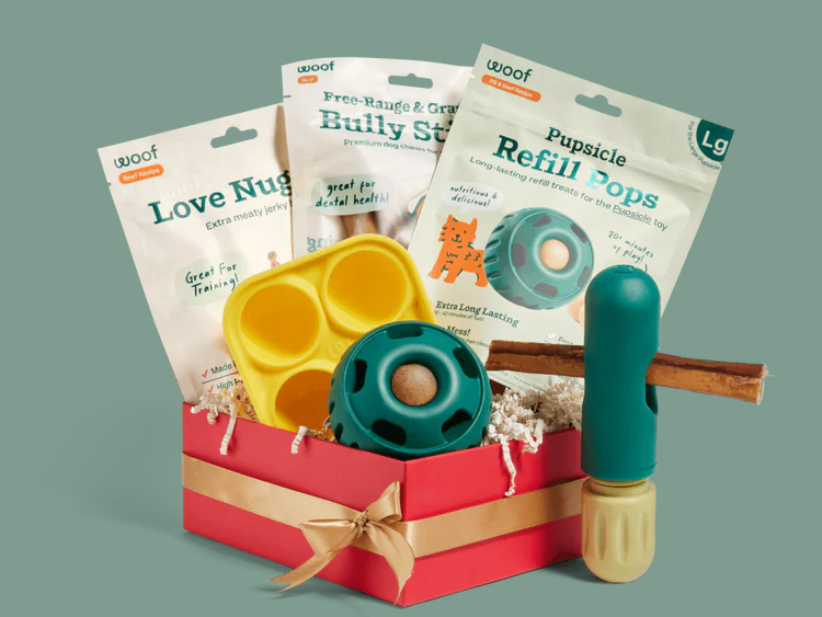 A red gift box overflowing with a variety of dog treats and treat holders; staged on a green background.