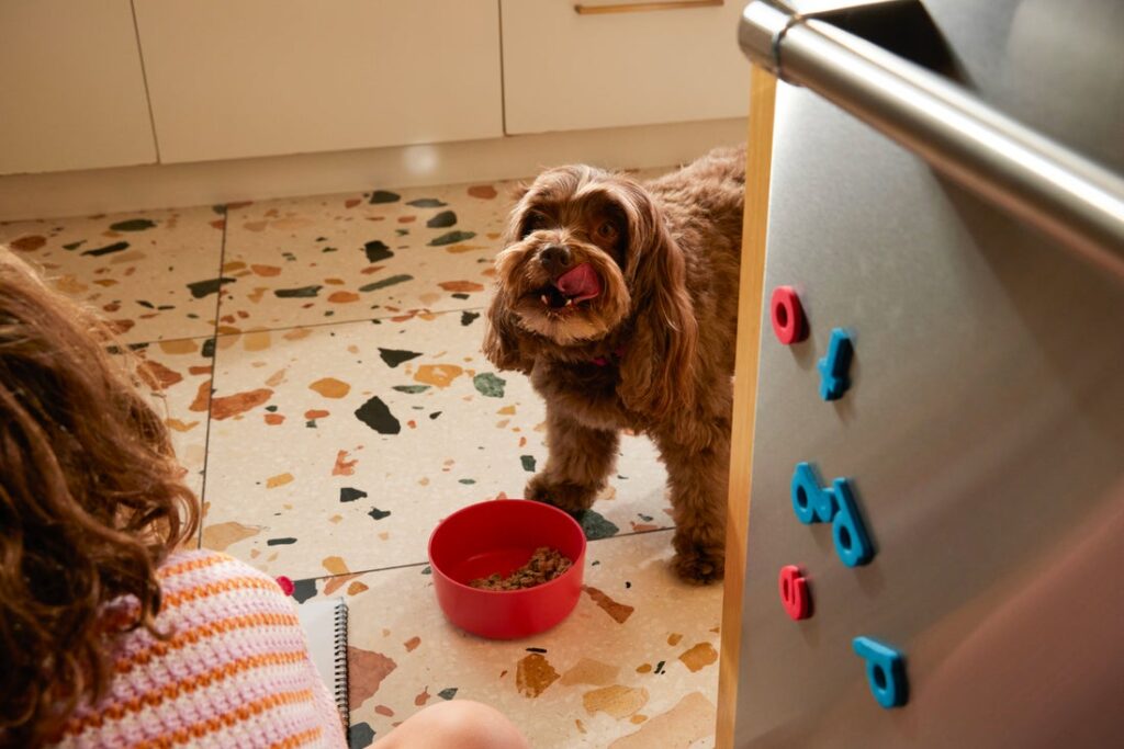 fresh dog food for weight loss