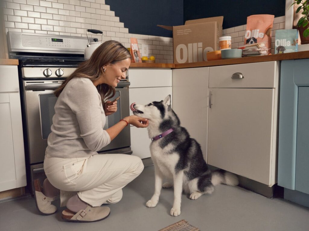 fresh dog food vs raw dog food