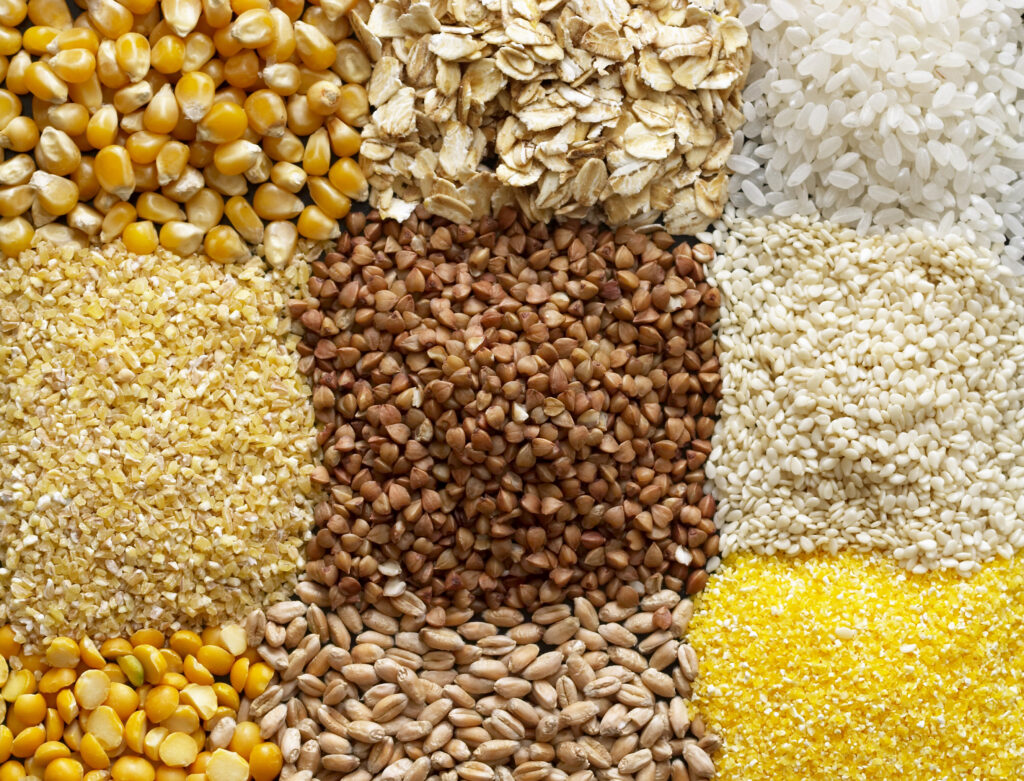 9 different types of raw grains assorted into a grid of piles