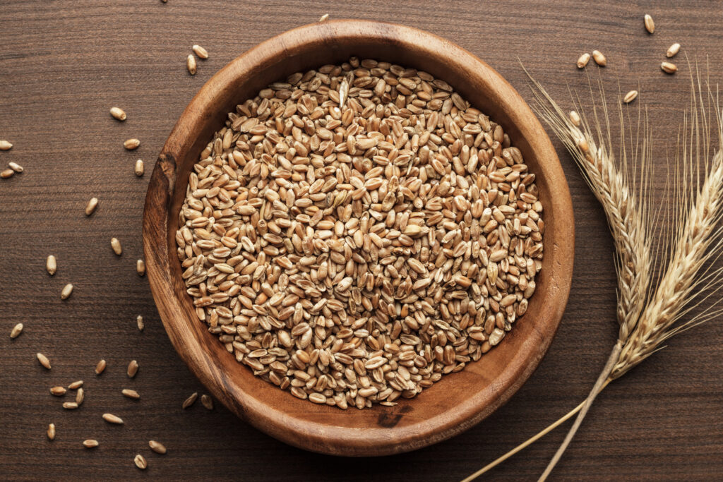 A wooden bowl of harvested wheat grains on a dark wooden table with loose grains and a stalk of wheat arranged around it.