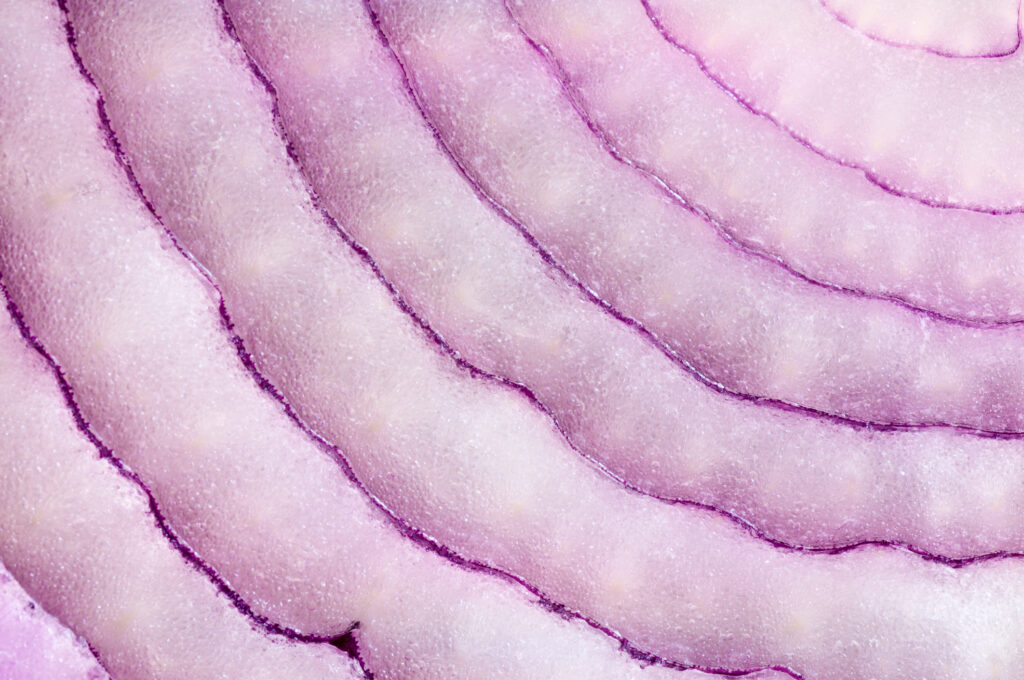 A macro photograph of a sliced red onion showing layers