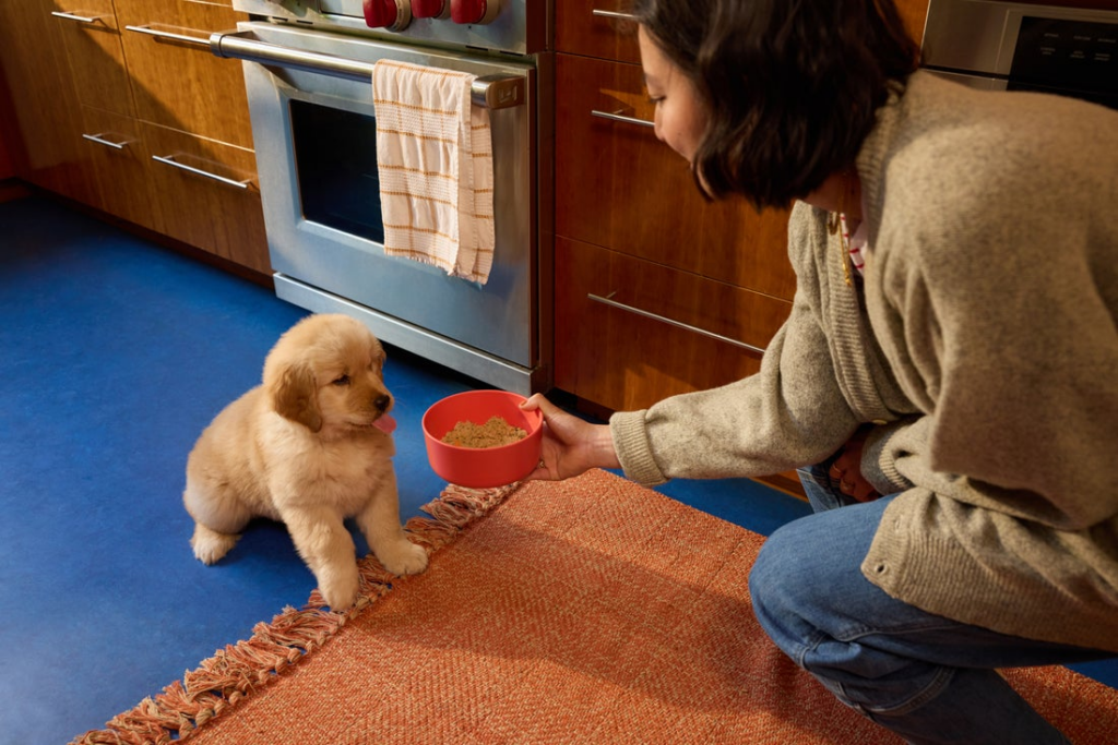 puppy diet