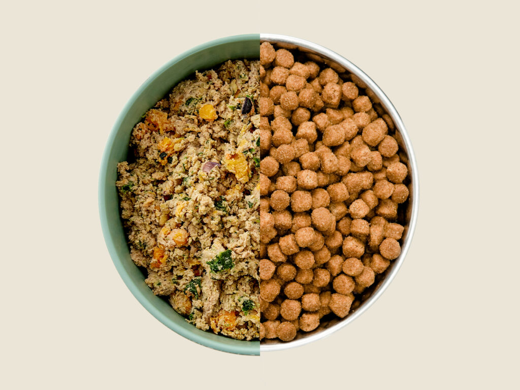 A comparison of Ollie fresh human-grade dog food and basic dog kibble in one bowl