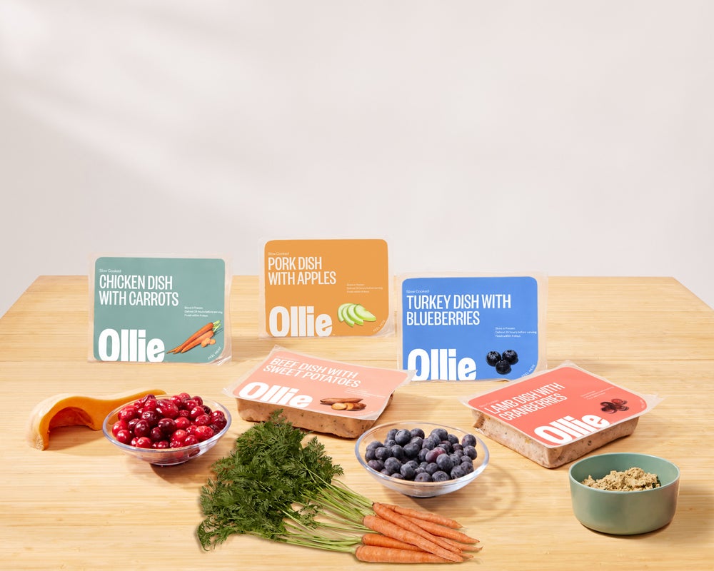 ollie for dog skin health